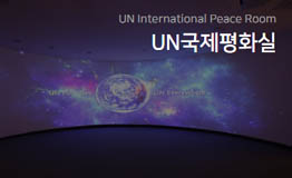 UN국제평화실