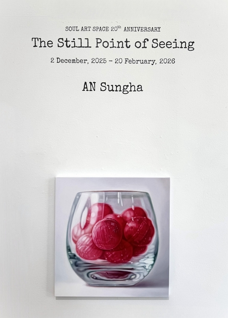 The Still Point of Seeing 이미지