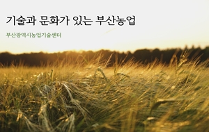 표준 양식