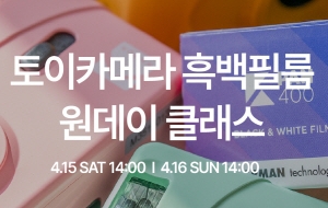 표준 양식