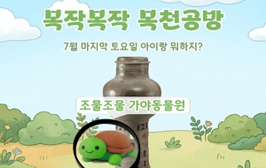 표준 양식