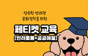 표준 양식