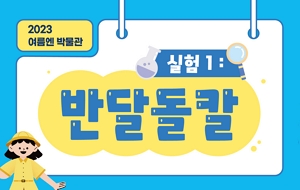 표준 양식
