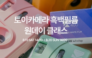 표준 양식