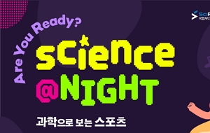 표준 양식