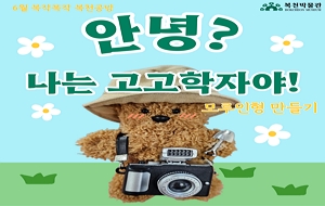 표준 양식