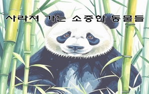 표준 양식